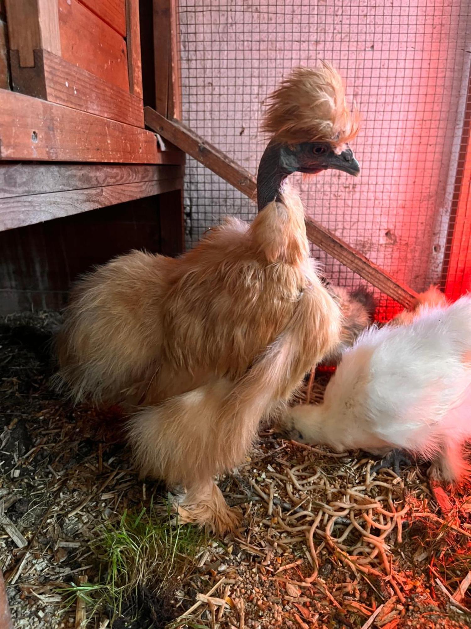 Lokken Farm Holiday ภายนอก รูปภาพ