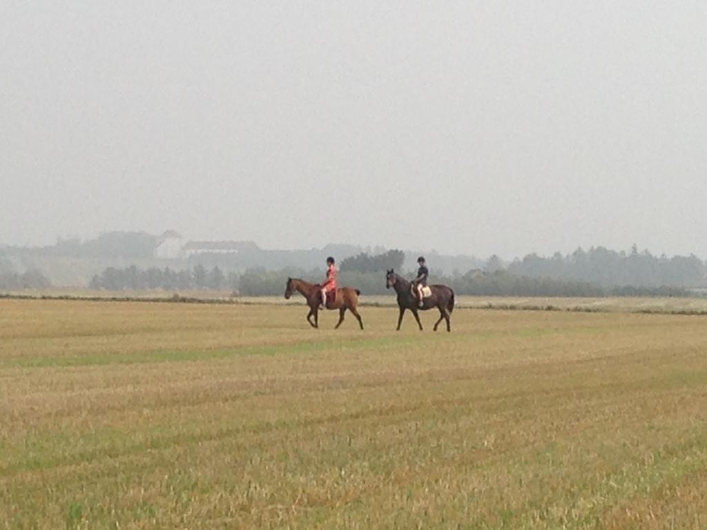 Lokken Farm Holiday ภายนอก รูปภาพ