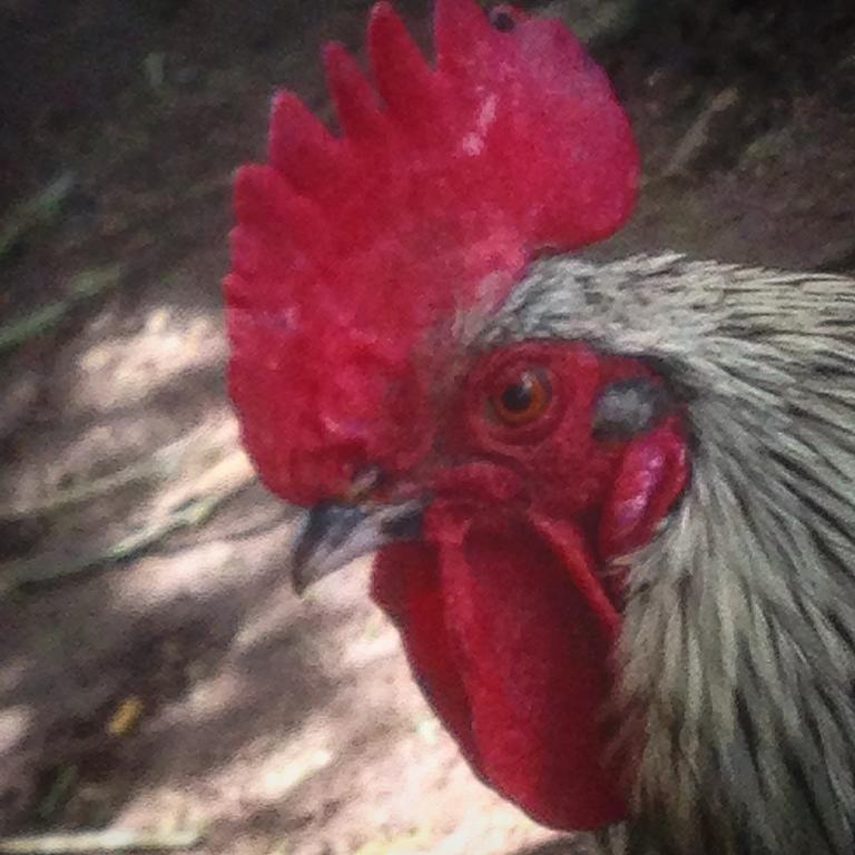 Lokken Farm Holiday ภายนอก รูปภาพ